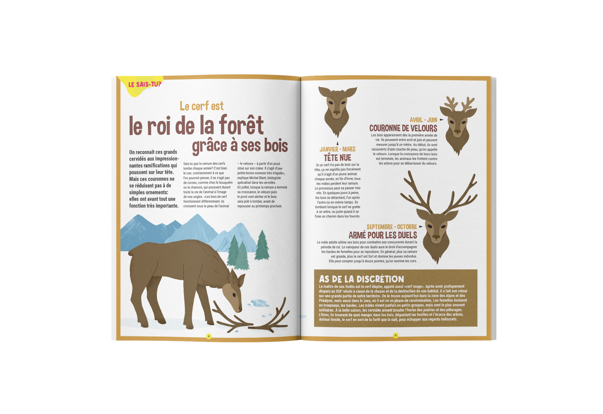 Abonnement Terre et Nature Junior – Image 10