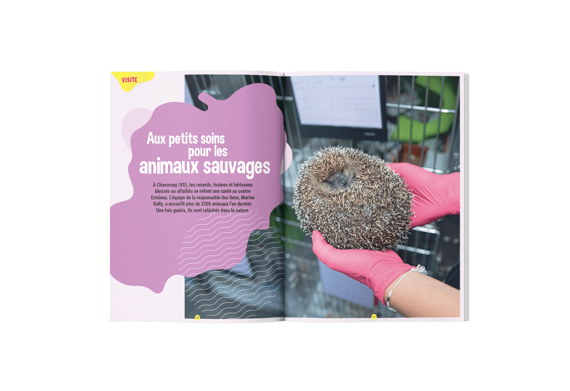 Abonnement Terre et Nature Junior – Image 9