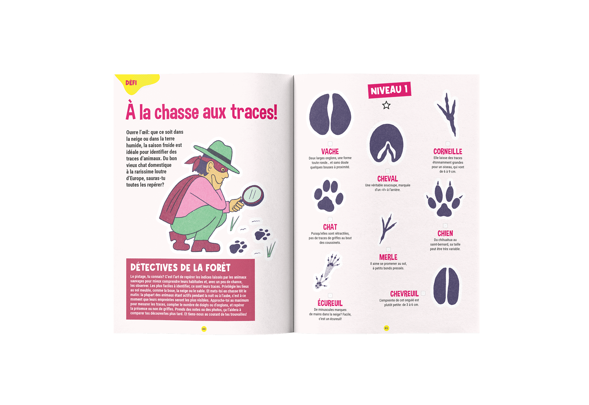 Abonnement Terre et Nature Junior – Image 8