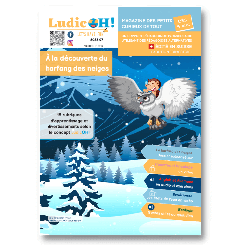 magazine harfang des neiges