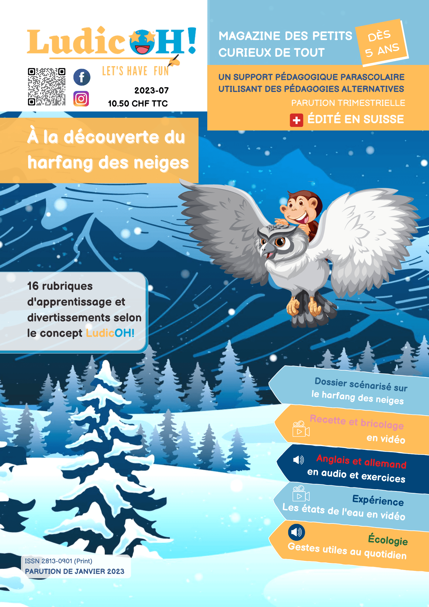 magazine harfang des neiges